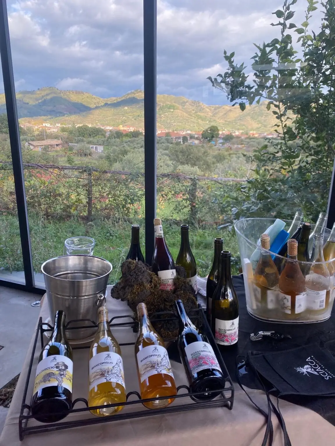 Selection of Sicilian wines and tasting setup during a luxury event experience in Sicily.
