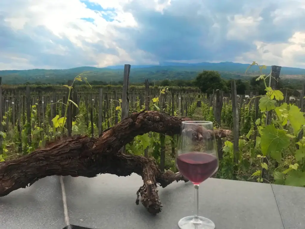 Sicilian vineyard and wine experience near Mount Etna