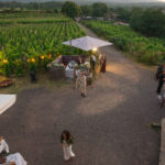 Invitati che arrivano a un ricevimento di matrimonio di lusso in vigneto in Sicilia circondati da panorami di campagna.