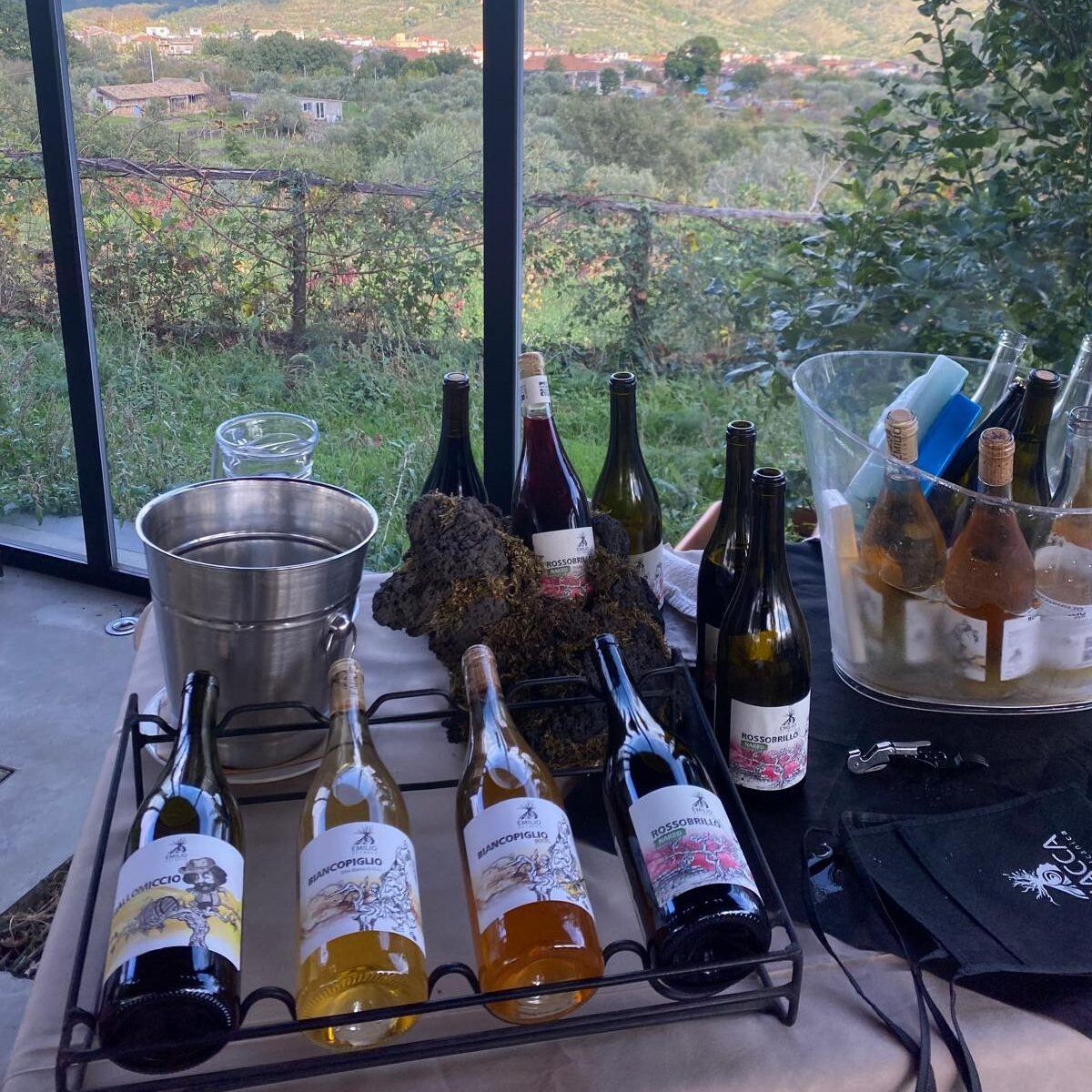 Expérience de dégustation de vins pour des événements professionnels en Sicile.